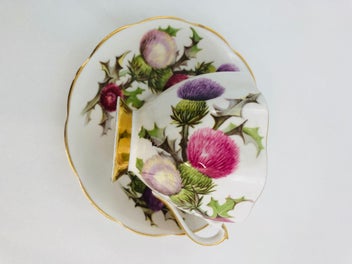 Listing 4 of 7 for Queen Anne - Dundee Thistle Tea Cup and Saucer (21760)