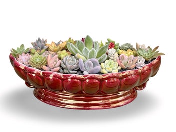 Listing 1 of 9 for A beautiful big Titian oval vase filled with lots of colourful succulents