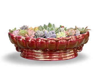 Listing 7 of 9 for A beautiful big Titian oval vase filled with lots of colourful succulents