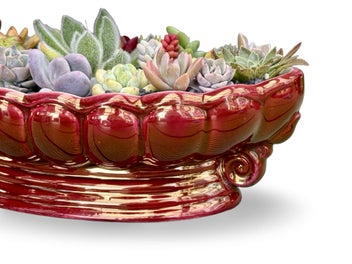Listing 3 of 9 for A beautiful big Titian oval vase filled with lots of colourful succulents