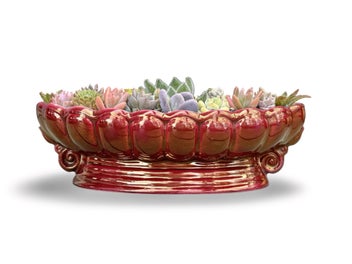 Listing 6 of 9 for A beautiful big Titian oval vase filled with lots of colourful succulents