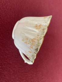 Listing 7 of 12 for Vintage Foley China Saucers Cups Plates 1895