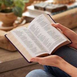 Listing 4 of 6 for NKJV Compact Paragraph-Style Bible w/ 43,000 Cross References, Purple Softcover