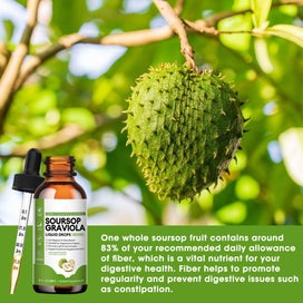Listing 8 of 9 for 60ML Soursop Graviola Extract Liquid Drop Immune Digestive Support