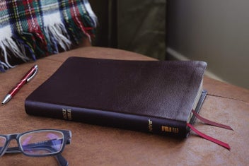 Listing 4 of 4 for NIV, Thinline Bible, Bonded Leather, Burgundy, Red Letter Edition, Comfort Print