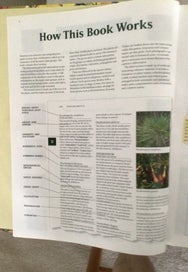 Listing 7 of 14 for Three Gardening Books in Fine Condition.