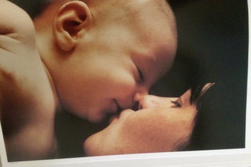 Listing 7 of 14 for FAMILY; A MILK Book; Exquisite Photographic Celebration.