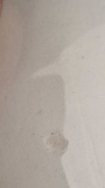 Listing 5 of 8 for CARLTONWARE TWO TONE LEAF PLATE Olive/Cream