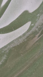 Listing 7 of 8 for CARLTONWARE TWO TONE LEAF PLATE Olive/Cream