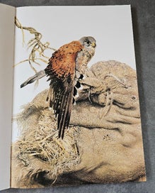 Listing 5 of 8 for Raymond Ching "The Bird Paintings". Softcover in Matchin Card Sleeve. Exquisite.