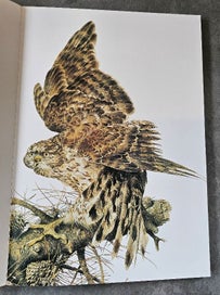 Listing 6 of 8 for Raymond Ching "The Bird Paintings". Softcover in Matchin Card Sleeve. Exquisite.