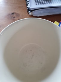 Listing 5 of 5 for Crown Lynn Beehive Bowls (3)