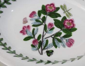 Listing 8 of 10 for +++ PORTMEIRION " SUSAN WILLIAMS -ELLIS BOTANIC GARDEN " PIN DISH +++