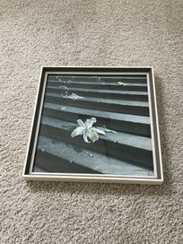 Listing 1 of 18 for Pair of Vladimir Tretchikoff vintage 1960s prints - Lost Orchid and Weeping Rose