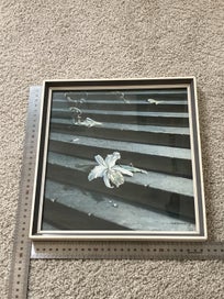 Listing 6 of 18 for Pair of Vladimir Tretchikoff vintage 1960s prints - Lost Orchid and Weeping Rose