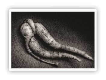 Listing 4 of 7 for Fine Art prints Abstract Black and White Phtography - Choose your image