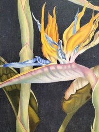 Listing 2 of 5 for Strelitzia still life, by Yvonne Chadderton