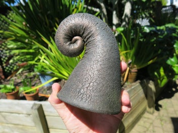 Listing 2 of 8 for Flat Fern Pottery - Feather and koru