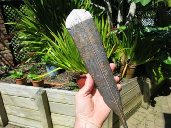 Listing 5 of 8 for Flat Fern Pottery - Feather and koru