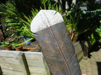 Listing 6 of 8 for Flat Fern Pottery - Feather and koru