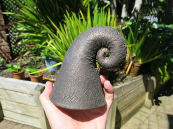 Listing 3 of 8 for Flat Fern Pottery - Feather and koru