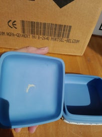 Listing 4 of 4 for Wedgwood Jasperware Trinket Box