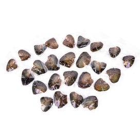 Listing 2 of 6 for 25pcs Individually Wrapped Oysters whith Natural Pearl Holiday Gift