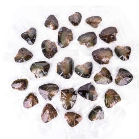 Listing 3 of 6 for 25pcs Individually Wrapped Oysters whith Natural Pearl Holiday Gift