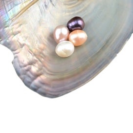 Listing 4 of 6 for 25pcs Individually Wrapped Oysters whith Natural Pearl Holiday Gift