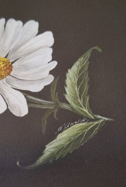 Listing 11 of 19 for +++ ORIGINAL "D'ANNICK (E.B.A.P ) - DAISIES " PAINTING +++