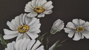 Listing 16 of 19 for +++ ORIGINAL "D'ANNICK (E.B.A.P ) - DAISIES " PAINTING +++