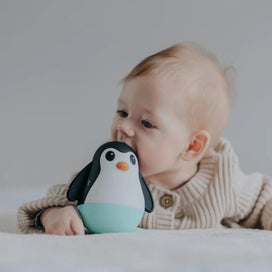 Listing 2 of 5 for Jellystone: Penguin Wobble - Soft Mint