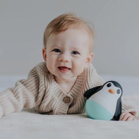 Listing 4 of 5 for Jellystone: Penguin Wobble - Soft Mint