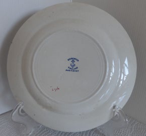 Listing 4 of 4 for ANTIQUE BRIDGEWOOD BLUE FLORAL CHINTZWARE PLATE