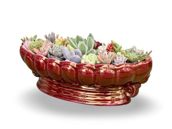 Listing 4 of 9 for A beautiful big Titian oval vase filled with lots of colourful succulents