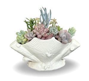 Listing 2 of 16 for A beautiful vintage Titian Studio web & spider vase filled with succulents