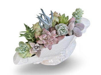 Listing 5 of 16 for A beautiful vintage Titian Studio web & spider vase filled with succulents