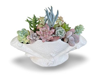 Listing 4 of 16 for A beautiful vintage Titian Studio web & spider vase filled with succulents