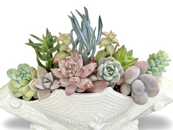 Listing 12 of 16 for A beautiful vintage Titian Studio web & spider vase filled with succulents