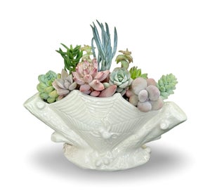 Listing 13 of 16 for A beautiful vintage Titian Studio web & spider vase filled with succulents