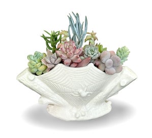 Listing 16 of 16 for A beautiful vintage Titian Studio web & spider vase filled with succulents
