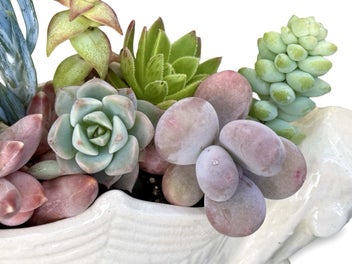 Listing 8 of 16 for A beautiful vintage Titian Studio web & spider vase filled with succulents