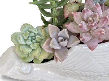 Listing 11 of 16 for A beautiful vintage Titian Studio web & spider vase filled with succulents
