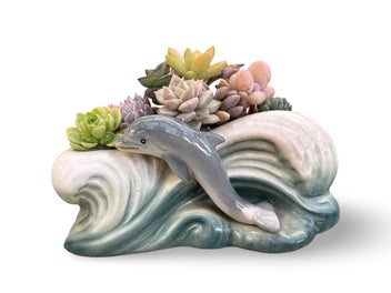 Listing 1 of 12 for A gorgeous vintage Sylvac Dolphin in the waves posy filled with succulents