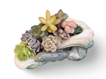 Listing 3 of 12 for A gorgeous vintage Sylvac Dolphin in the waves posy filled with succulents