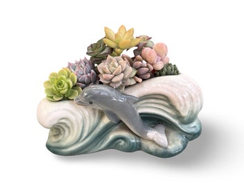 Listing 2 of 12 for A gorgeous vintage Sylvac Dolphin in the waves posy filled with succulents