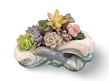 Listing 11 of 12 for A gorgeous vintage Sylvac Dolphin in the waves posy filled with succulents
