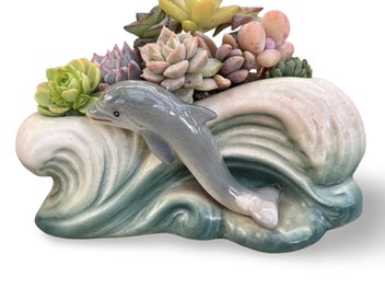 Listing 10 of 12 for A gorgeous vintage Sylvac Dolphin in the waves posy filled with succulents