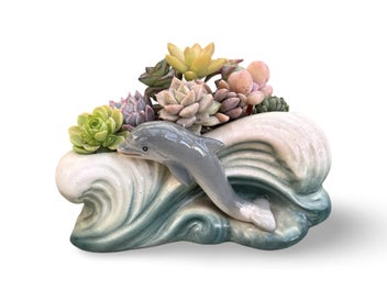 Listing 12 of 12 for A gorgeous vintage Sylvac Dolphin in the waves posy filled with succulents