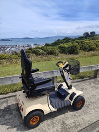 Listing 2 of 8 for Unique 36v with balance technology (Batteries in front)